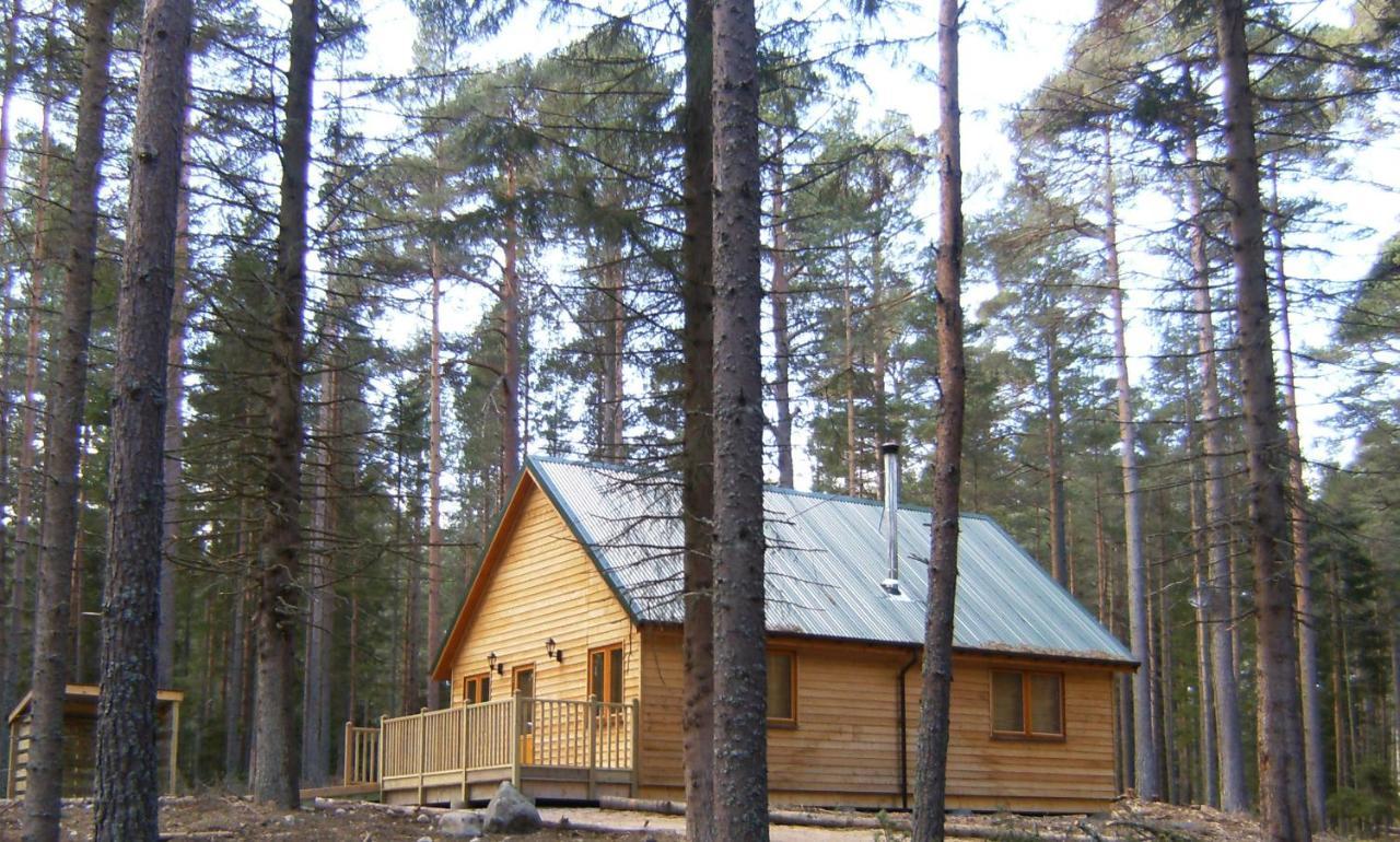 Cairngorm Lodges Aboyne Bagian luar foto