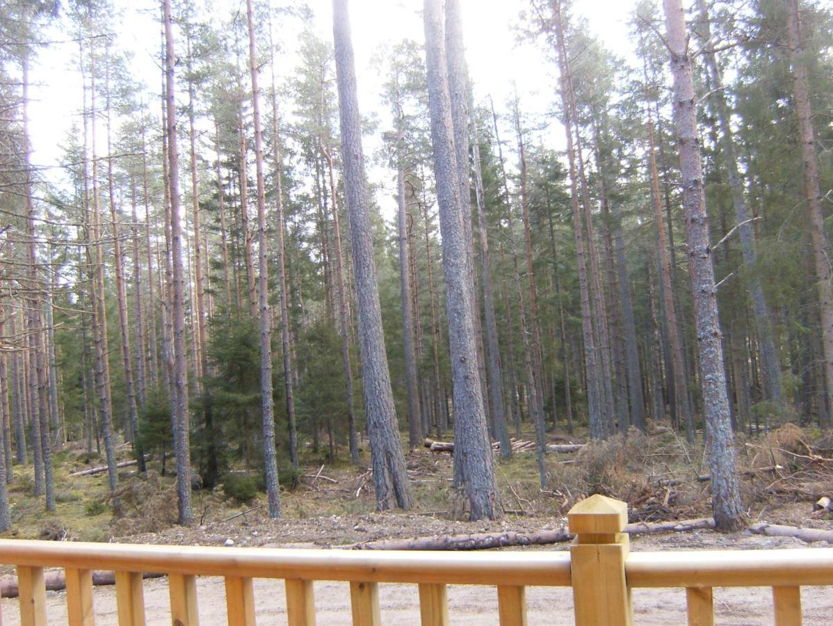 Cairngorm Lodges Aboyne Bagian luar foto