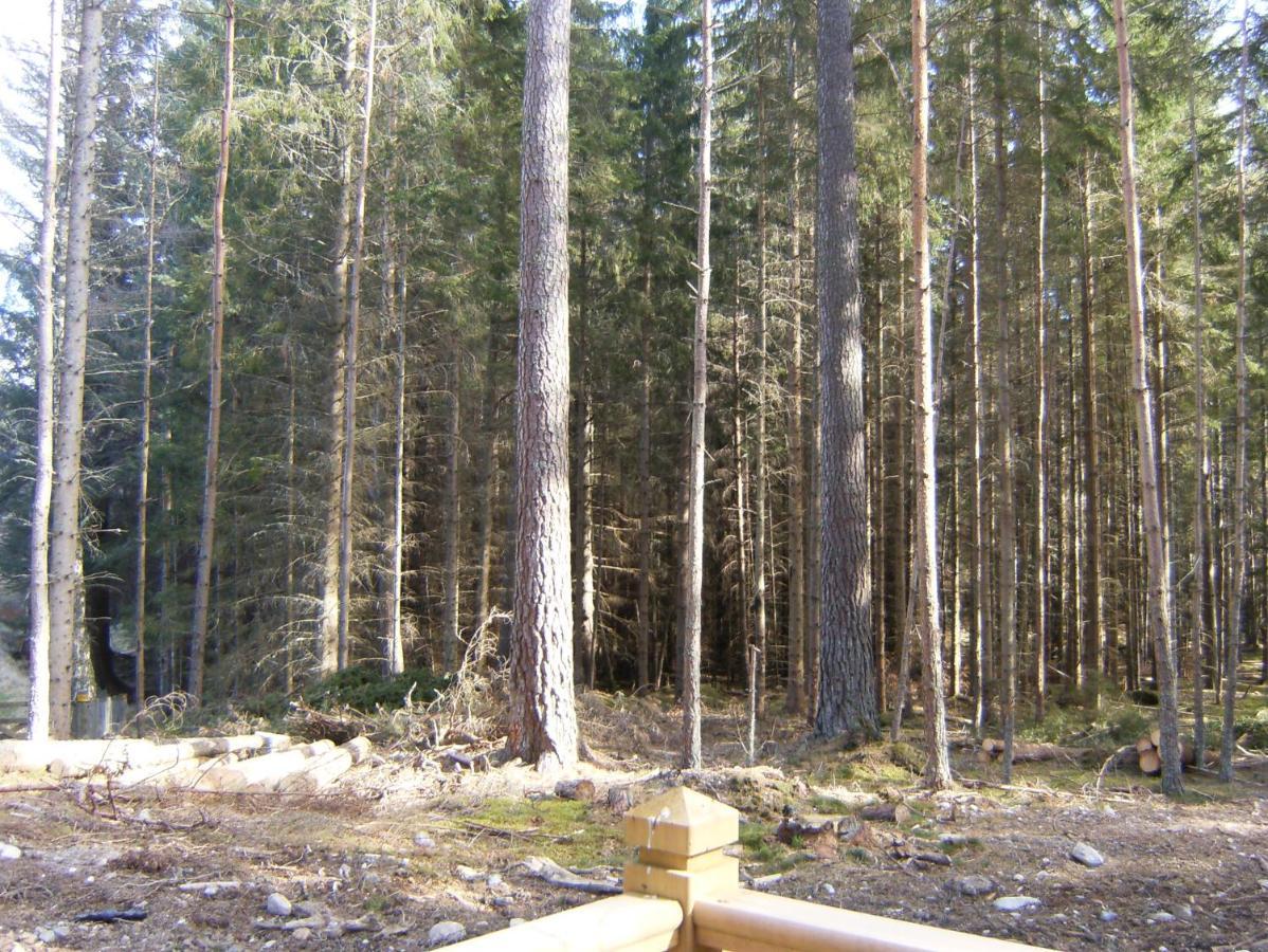 Cairngorm Lodges Aboyne Bagian luar foto