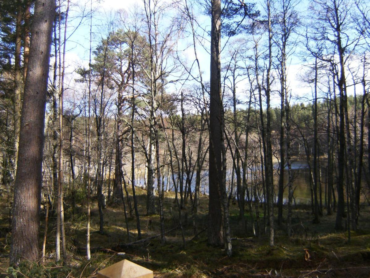 Cairngorm Lodges Aboyne Bagian luar foto