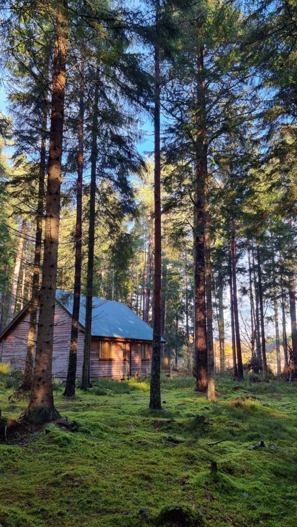 Cairngorm Lodges Aboyne Bagian luar foto