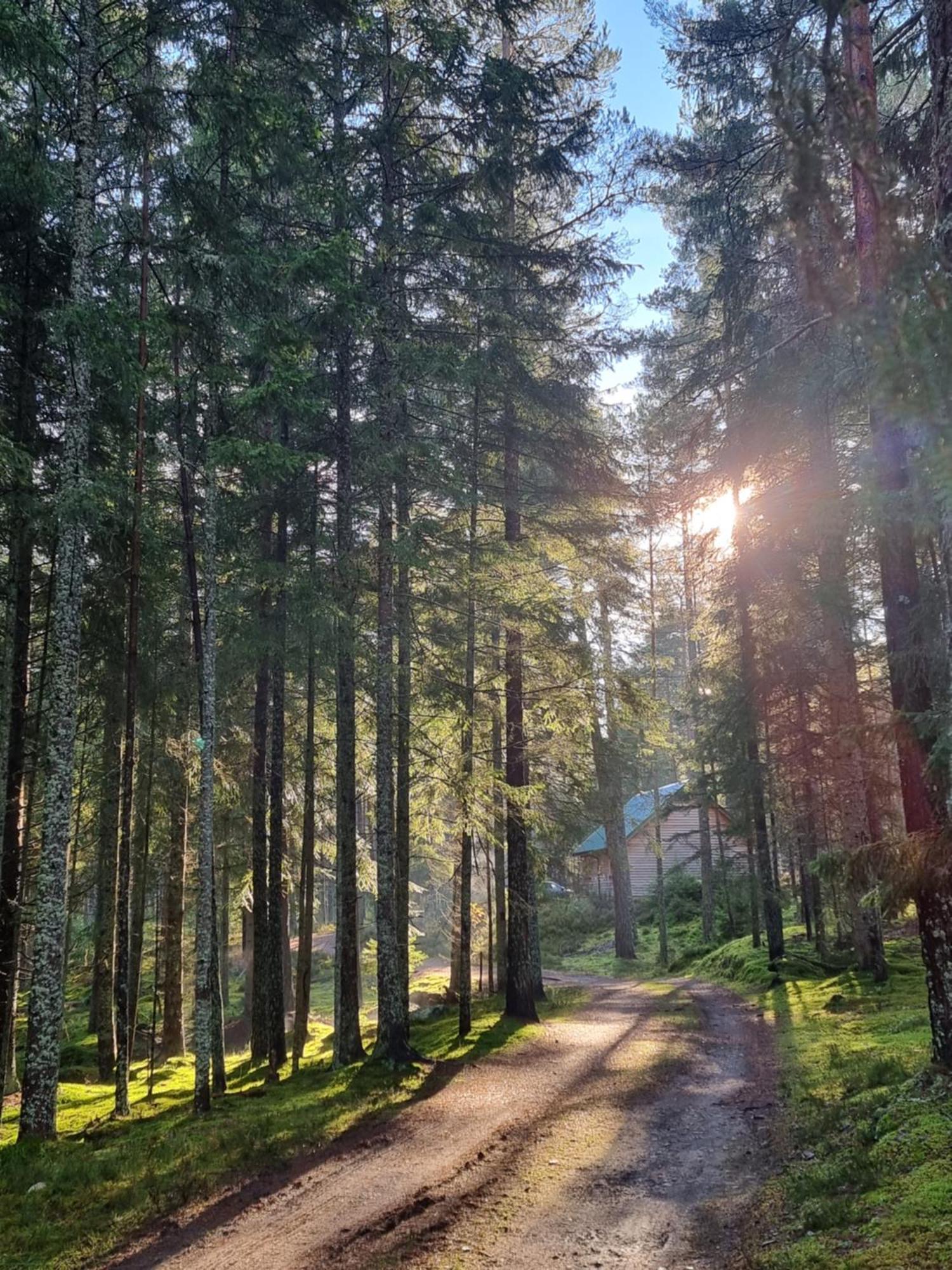 Cairngorm Lodges Aboyne Bagian luar foto