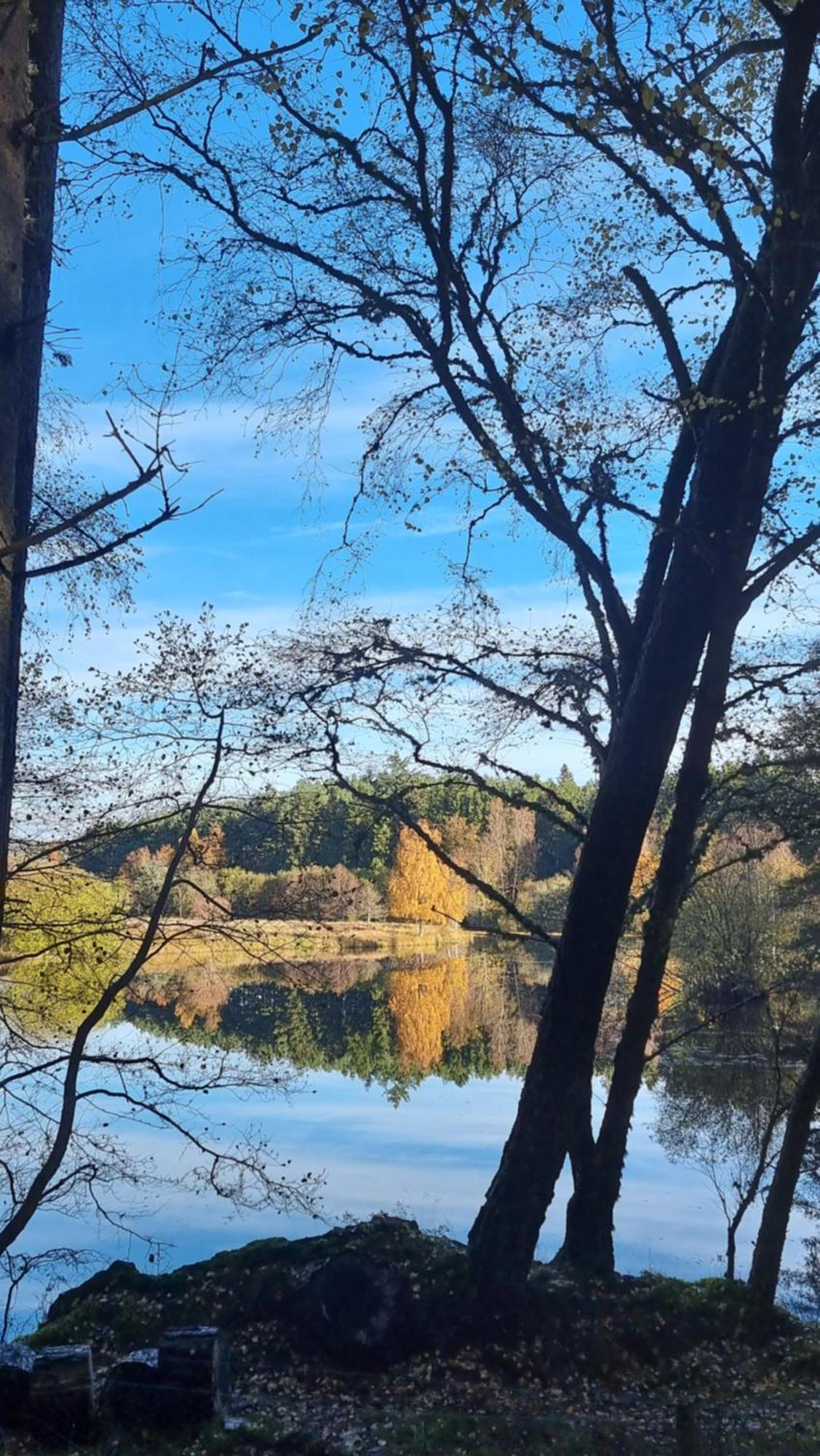 Cairngorm Lodges Aboyne Bagian luar foto