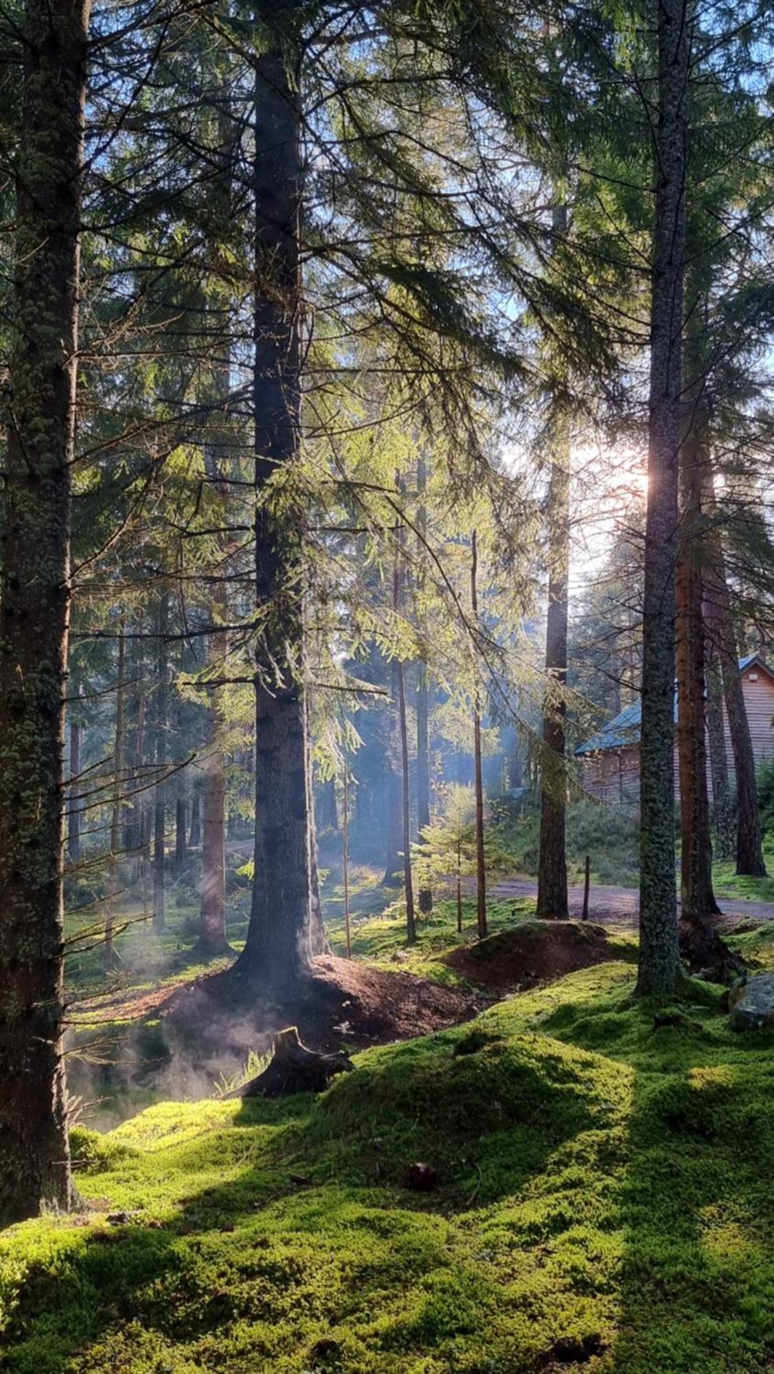 Cairngorm Lodges Aboyne Bagian luar foto