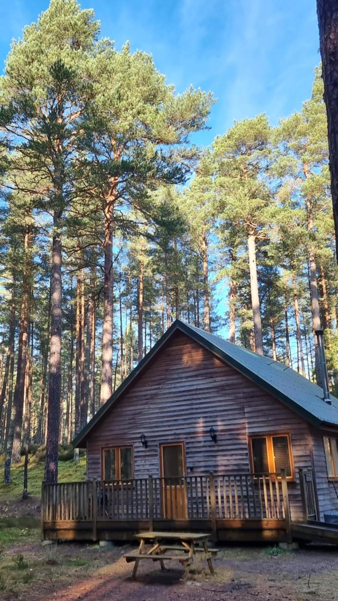 Cairngorm Lodges Aboyne Bagian luar foto
